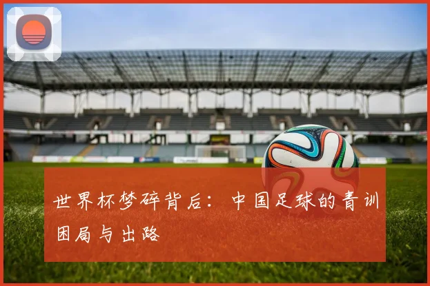 世界杯梦碎背后：中国足球的青训困局与出路