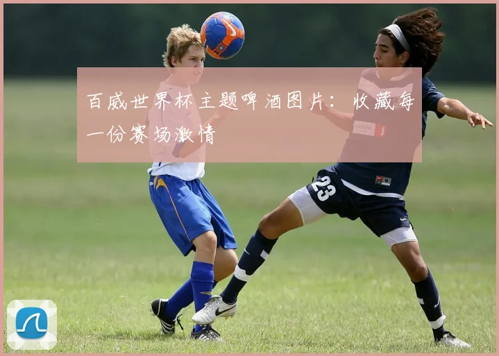 百威世界杯主题啤酒图片：收藏每一份赛场激情