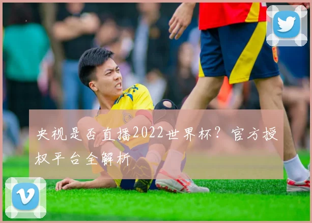 央视是否直播2022世界杯?官方授权平台全解析