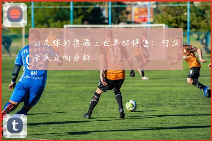 当足球彩票遇上世界杯停售：行业未来走向分析