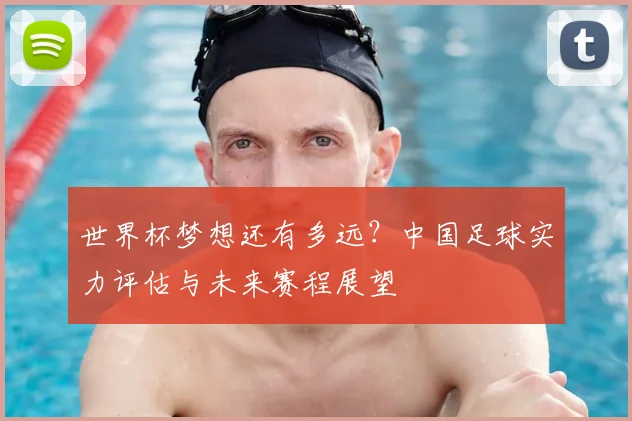 世界杯梦想还有多远？中国足球实力评估与未来赛程展望