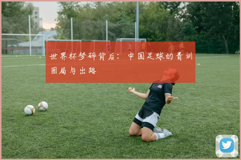 世界杯梦碎背后：中国足球的青训困局与出路