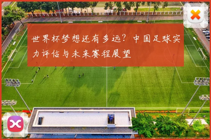 世界杯梦想还有多远？中国足球实力评估与未来赛程展望