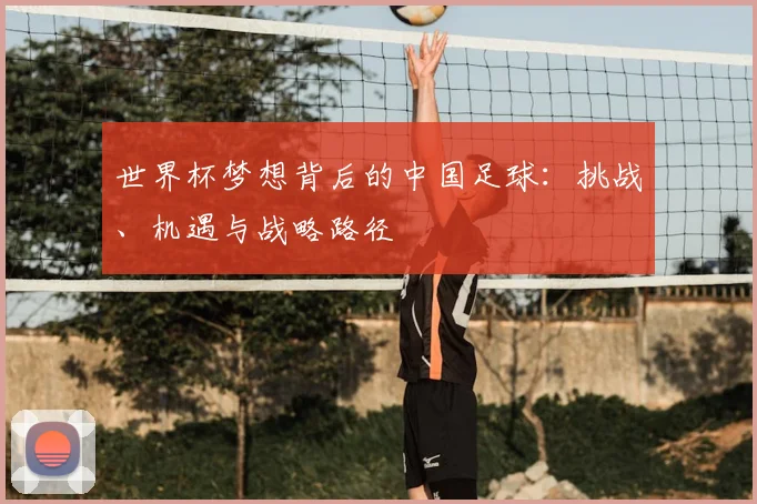 世界杯梦想背后的中国足球：挑战、机遇与战略路径